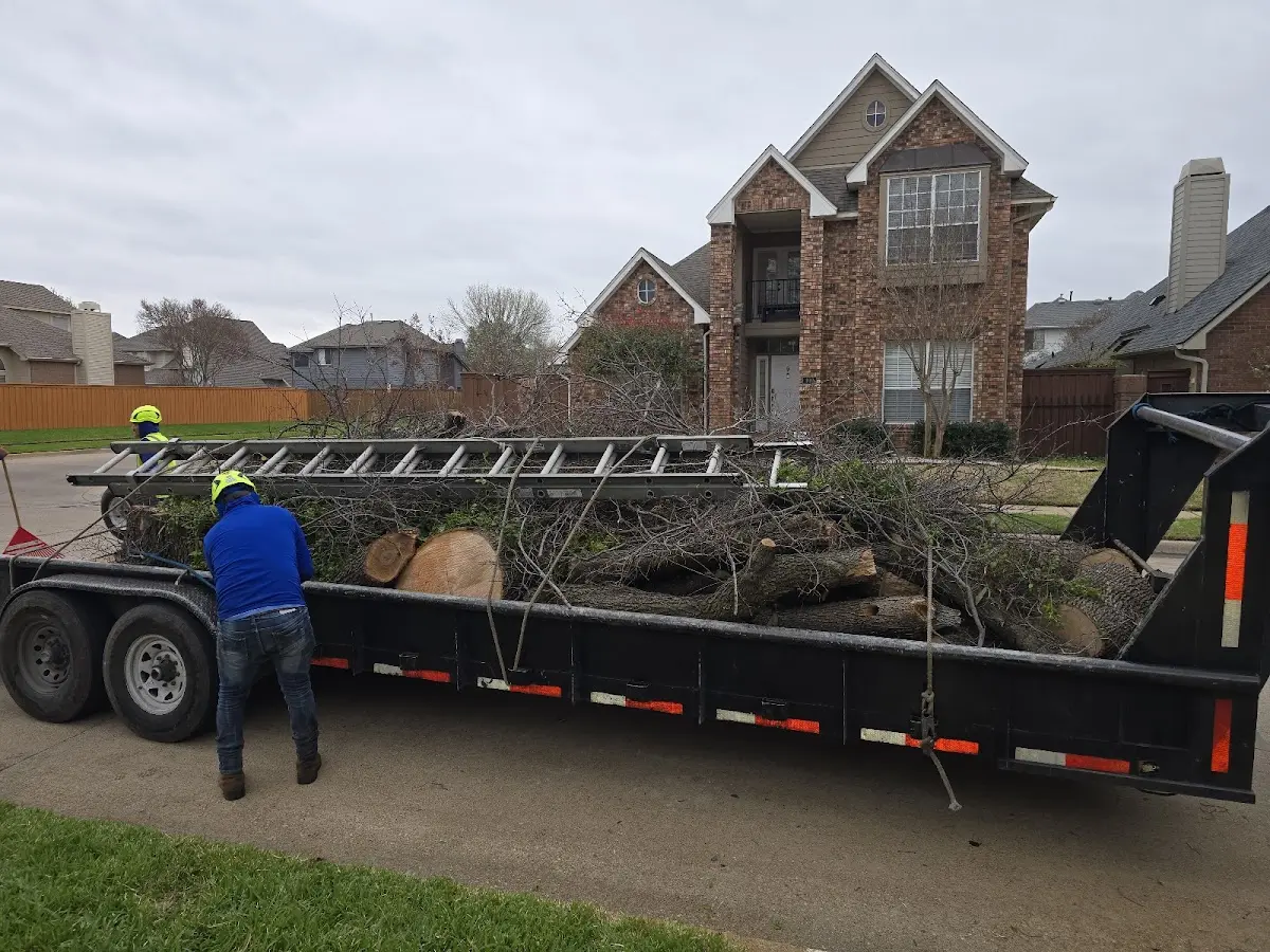 Expert Lot Clearing with proper safety equipment in Eunice
